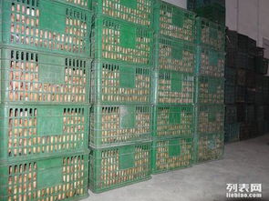 大型保鲜冷库工程安装公司建一万立方鸡蛋保鲜冷库造价要多少
