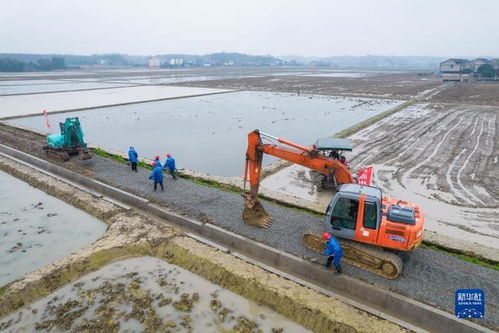 新华全媒 丨湖南桃源 高标准农田建设备春耕